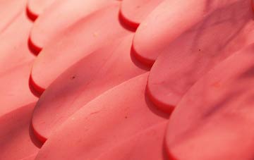 Hasland plastic roof costs