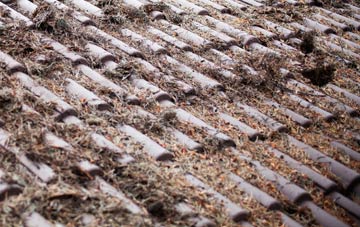 Hasland roof cleaning companies