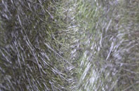 Hasland fibreglass roof work